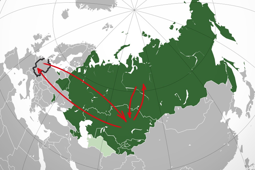 German companies continue to supply electronics to CIS countries, which&hellip;