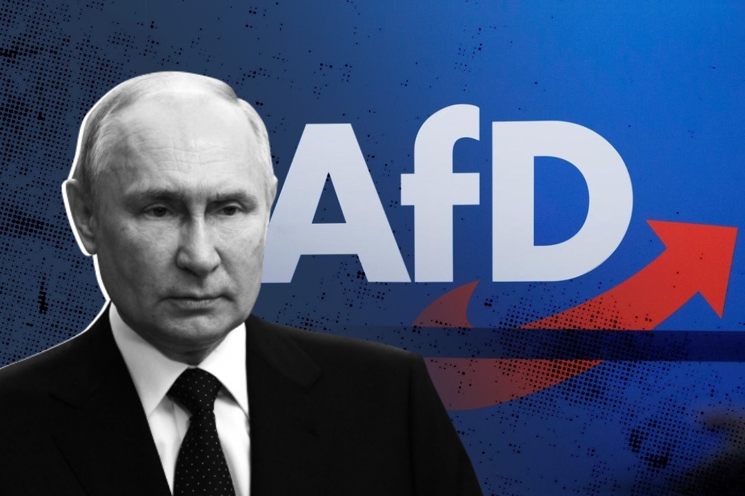 HOW MANY AfD MEMBERS SUPPORT KREMLIN?