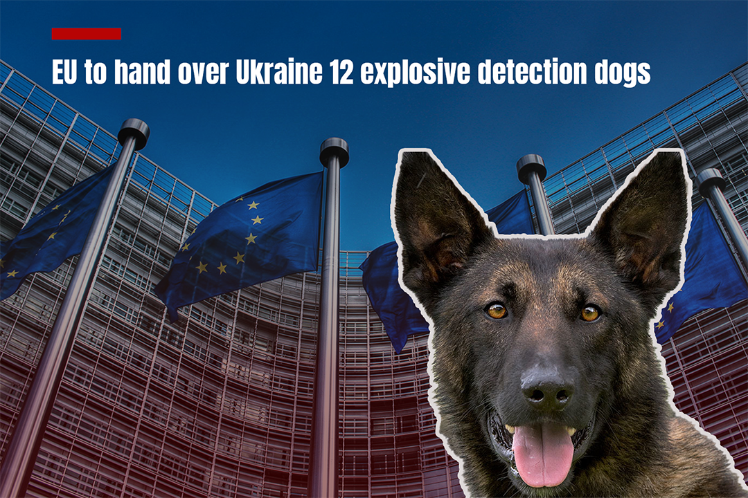 EU to hand over Ukraine 12 explosive detection dogs